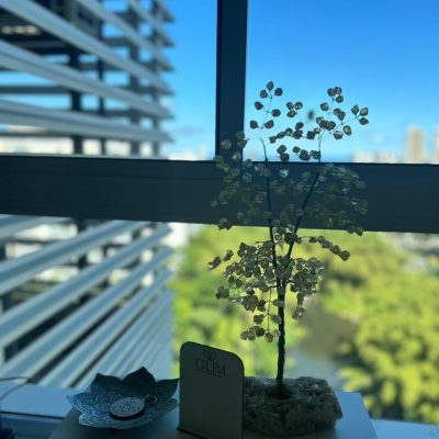 WhatsApp Image 2024-07-11 at 08.30.31 (3)